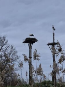 Visite de l'étang du méjean